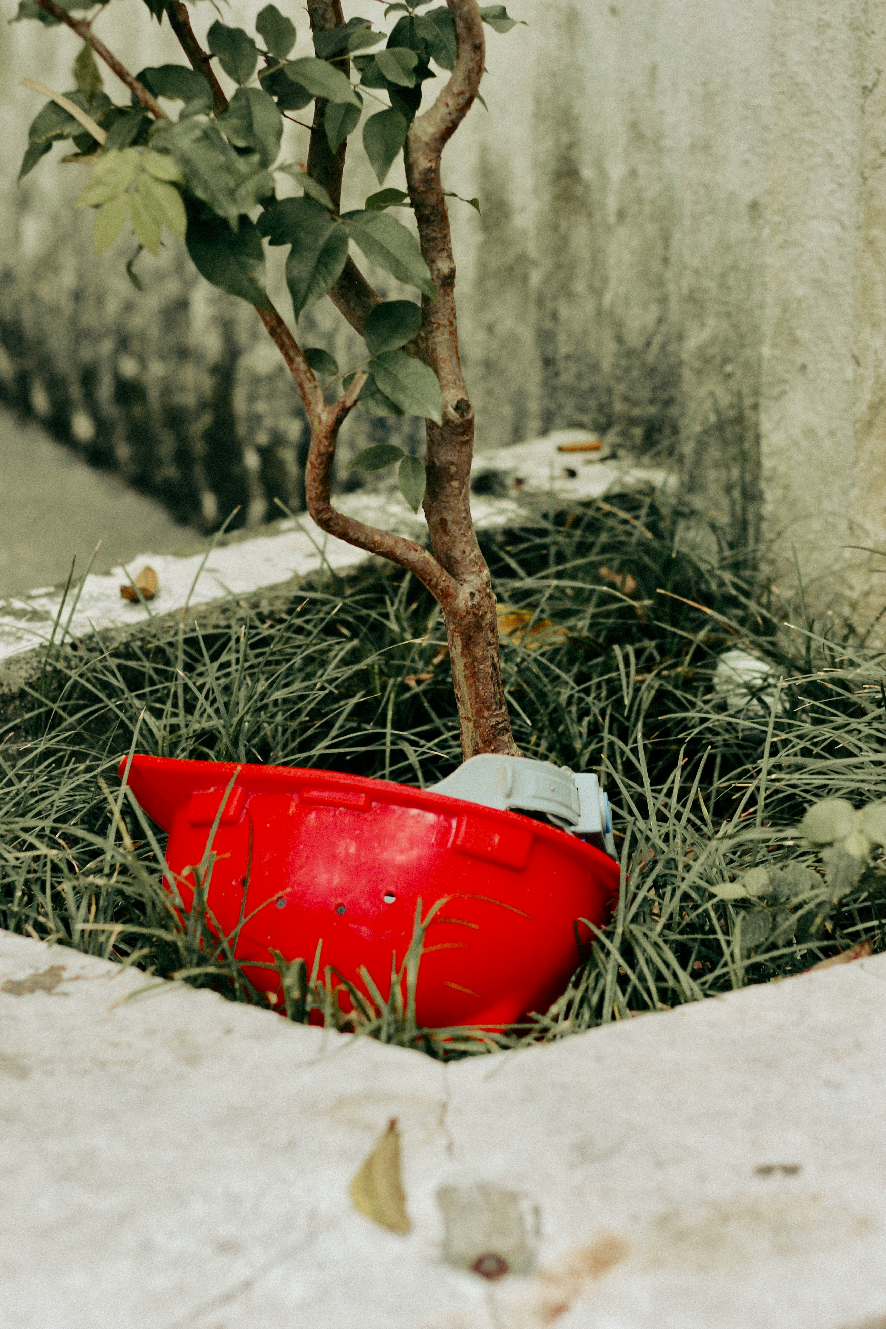 Safety Helmets - Photo by DOKYUNG KIM on Unsplash